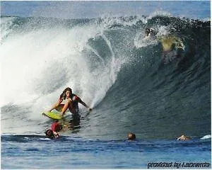 International Hotel 3*